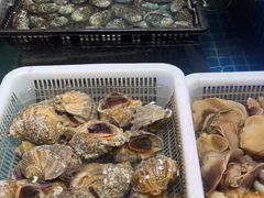 -大众海鲜(巨龙北路店)