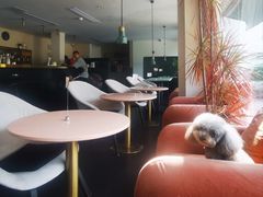 -简象咖啡CAFE ELE JANE(满陇桂雨店)