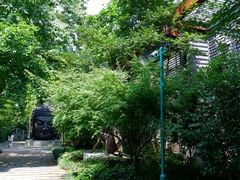 -杭州植物园