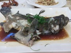 清蒸龙屯-潮喜竹溪荔湖酒家(荔枝湾店)