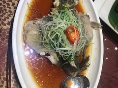 -新世纪大酒楼·30年南海菜