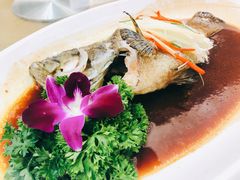 清蒸老虎斑-小贝壳酒楼(经九路店)