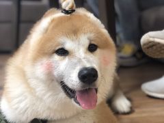 -YCHL Studios健身工作室(市二宫店)