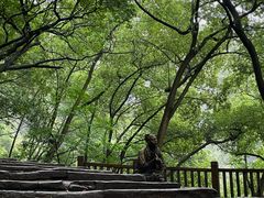 -南山植物园