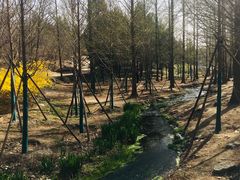 -白水寺森林公园