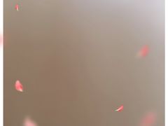 -冠军冰场CHAMPION RINK(凯德广场店)