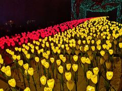 -长春公园(普阳街道)