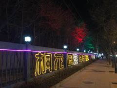 -枫花园汽车电影院(朝阳公园店)