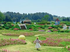 -空港花田景区