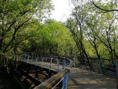 -西湖风景区-江洋畈生态公园