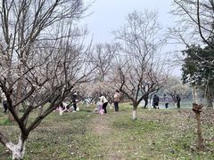 -烟水渔庄餐厅(西溪湿地店)