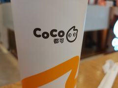 -CoCo都可(铁西万达店)