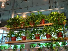 -比格比萨自助(国展店)