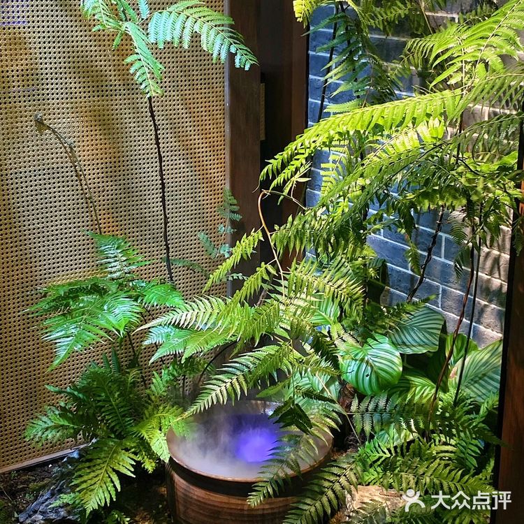 正宗地道客家菜客满园开来龙城啦‼️