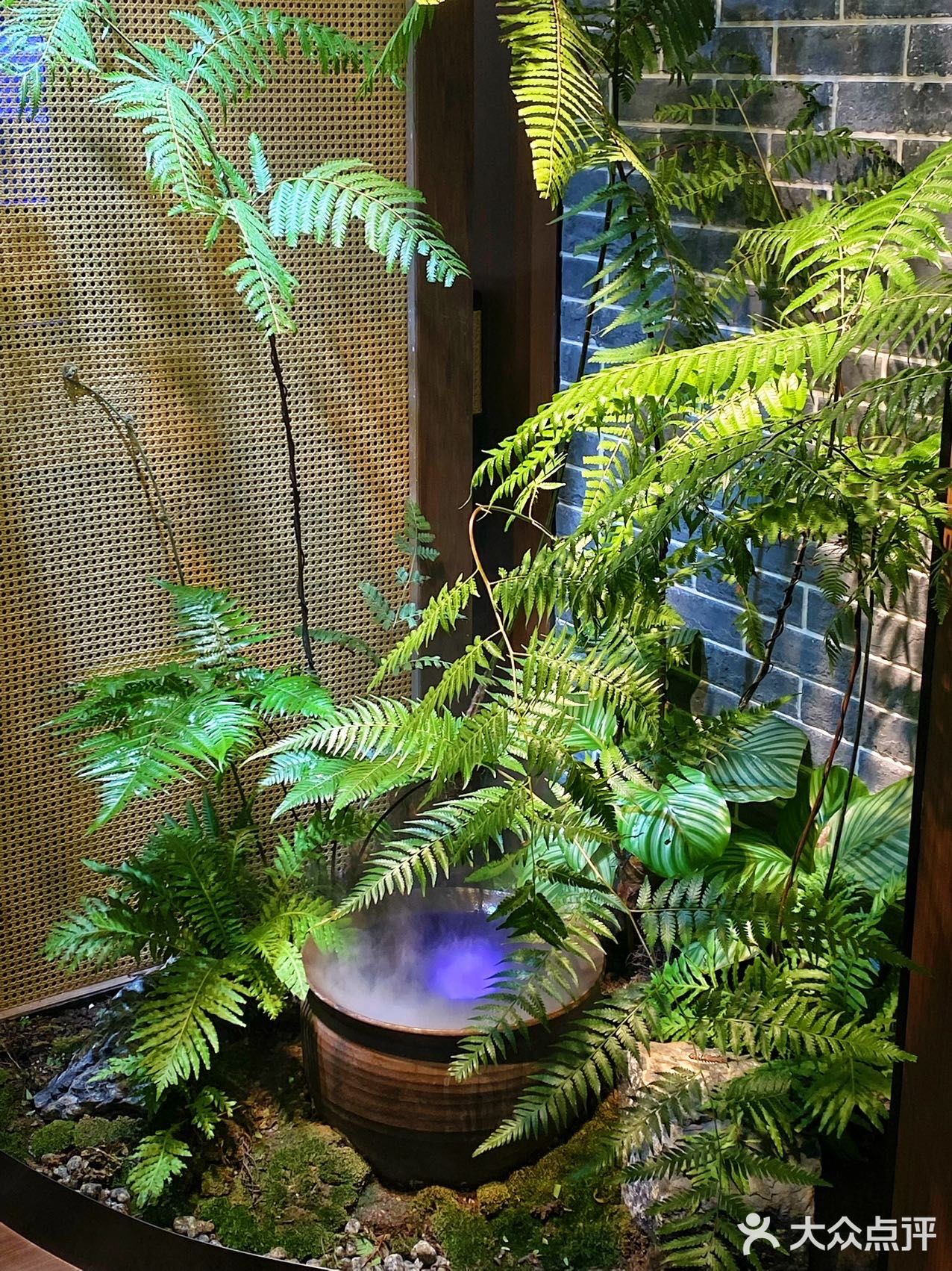 正宗地道客家菜客满园开来龙城啦‼️