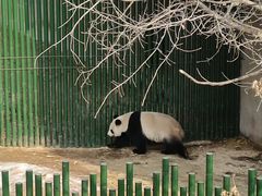 -沈阳森林动物园