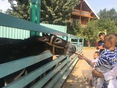 -酷鱼垂钓CLUB(朝阳区博大路店 )