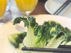 -湖畔鲁菜·二十年老字号餐厅(大明湖店)