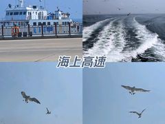 -皮口港