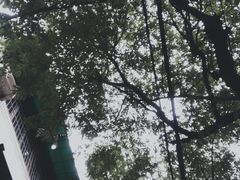 -定家小酥肉·清真(回民街店)
