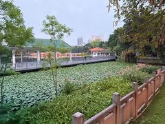 -荔湾湖公园