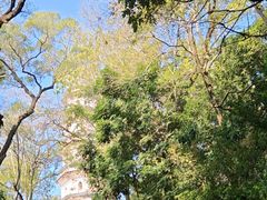 -惠州泗洲塔