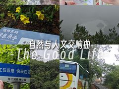 -广州白江湖森林公园