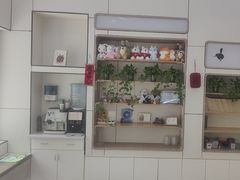 -凯瑞希宠物医院·狂犬免疫·微创·皮肤科