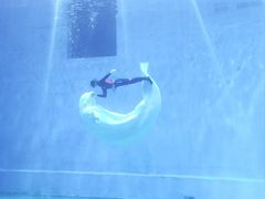 -芜湖新华联大白鲸海洋公园