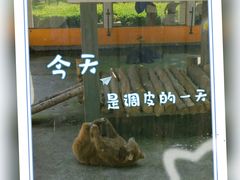 -武汉动物园