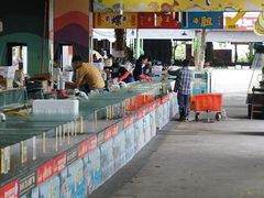 -三亚火车头万人海鲜广场