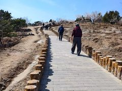 -白水寺森林公园