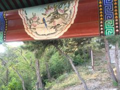 -北京鹫峰国家森林公园
