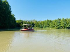 -上海海湾国家森林公园