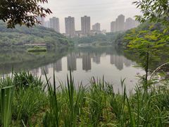 -重庆彩云湖湿地公园
