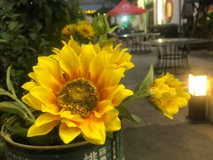 -野渡坡·极致湘菜·庭院餐厅(汉阳店)