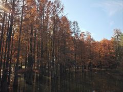 -青龙山国家森林公园