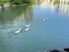 -赤坎·广东华侨国际旅游度假区