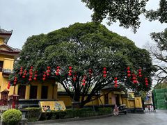 -桂林独秀峰王城景区