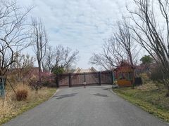 -广富林郊野公园