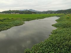 -惠东南站