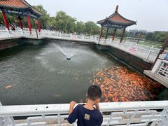 -长春市南湖公园