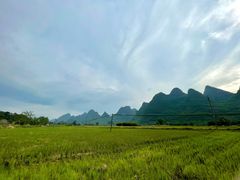 -村上春树