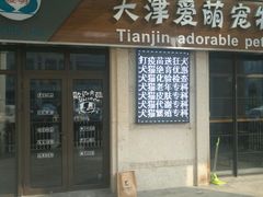 -美联众合宠物医院·爱萌分院·内外科·猫科中心