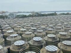 -厨邦酱油文化博览馆