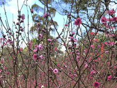 -桃花涧