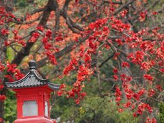 -广州中山纪念堂