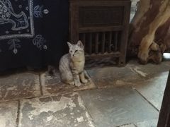 -老屋咖啡