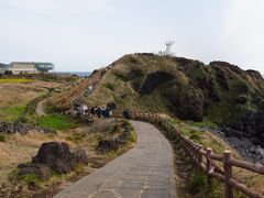 -涉地可支