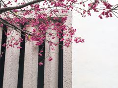 -乌山风景区